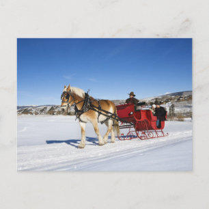 Western Christmas - Horse Christmas Sleigh Holiday Postcard