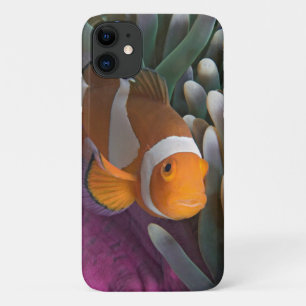 Western Clown Anemone Fish Case-Mate iPhone Case