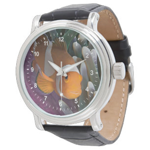 Western Clown Anemone Fish Watch