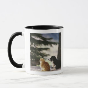 Western Colorado, USA Mug