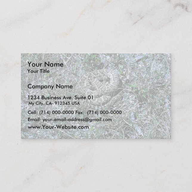 Western Diamondback Rattlesnake Business Card (Front)
