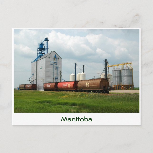 Western Grain Elevator Postcard (Front)