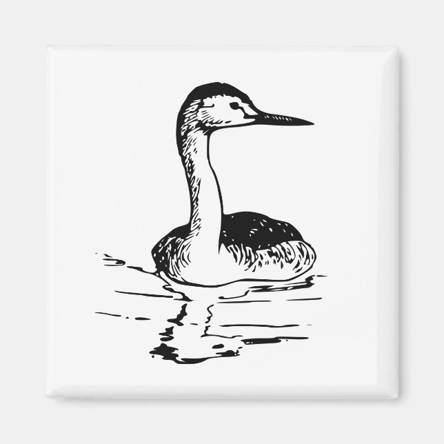 Western Grebe Magnet (Front)