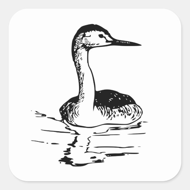 Western Grebe Square Sticker (Front)
