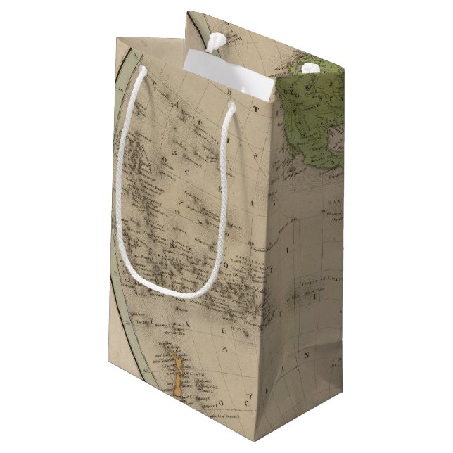 Western Hemisphere 9 Small Gift Bag (Back Angled)