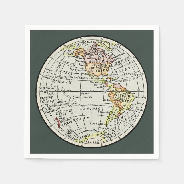 Western Hemisphere Map Globe Travel Napkin (Front)