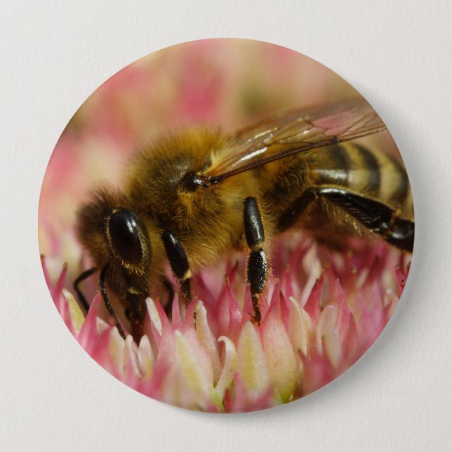 Western Honey Bee Macro 10 Cm Round Badge (Front)