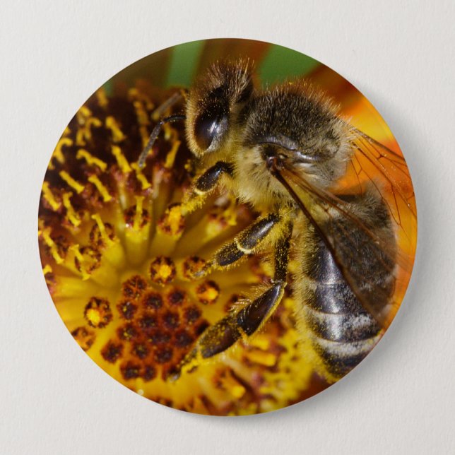 Western Honey Bee Macro Photo 10 Cm Round Badge (Front)