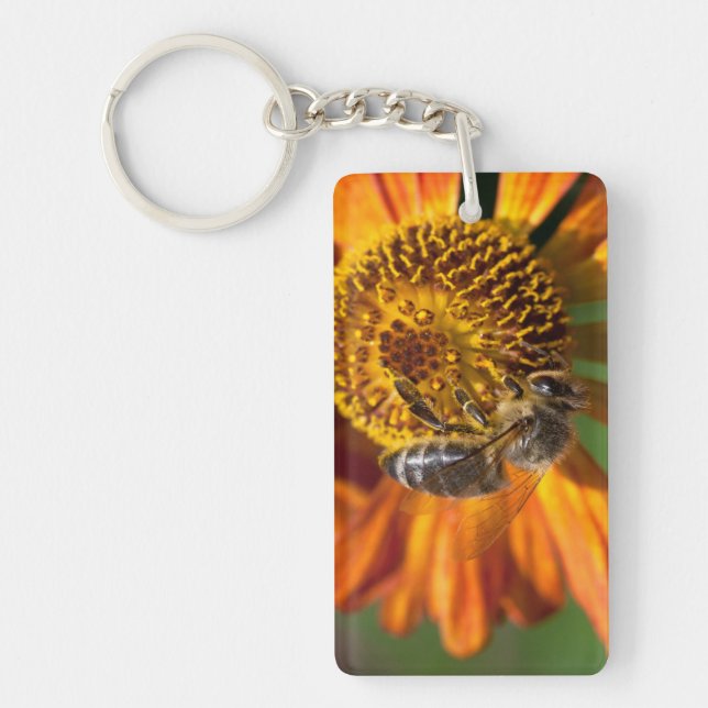 Western Honey Bee Macro Photo Key Ring (Front)