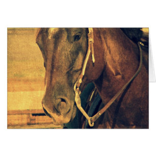 Western Horse