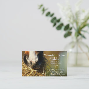 Western Horse Business Card Template