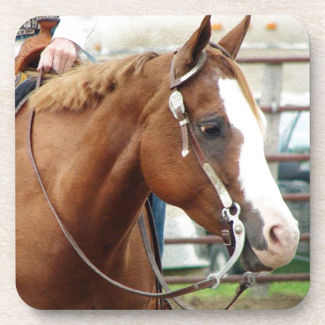 Western Horse Coaster (Front)