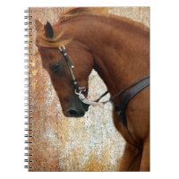 Western Horse Sorrel Grunge