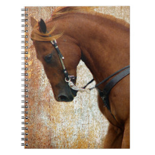 Western Horse Sorrel Grunge Spiral Notebook