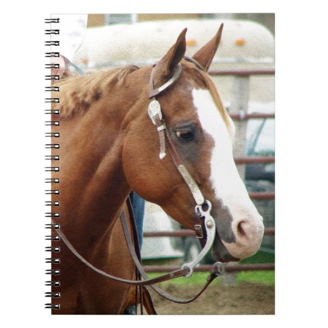 Western Horse Spiral Notebook (Front)
