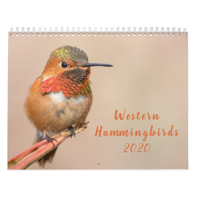 Western Hummingbirds 2020 Calendar (Cover)