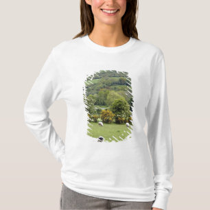 Western Ireland, Dingle Peninsula, broad T-Shirt