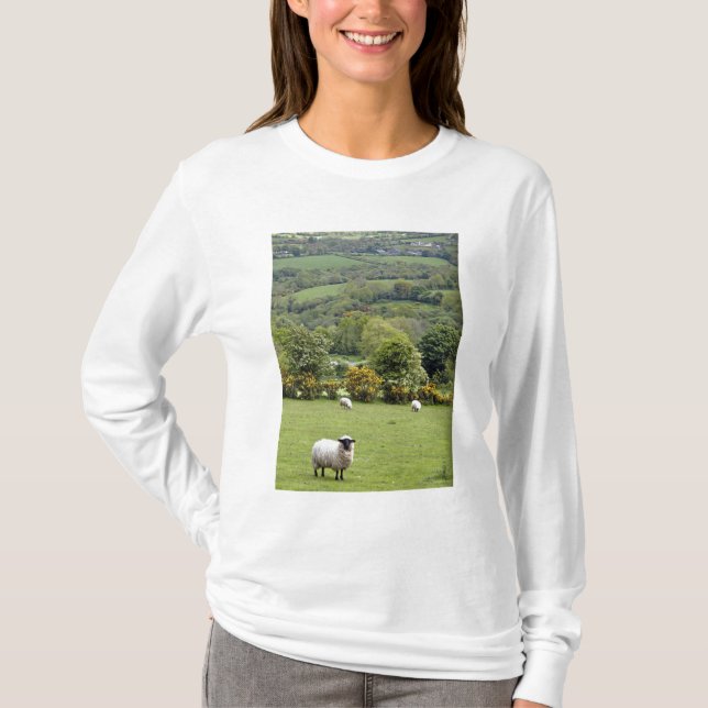 Western Ireland, Dingle Peninsula, broad T-Shirt (Front)