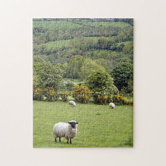 Western Ireland, Dingle Peninsula Jigsaw Puzzle (Vertical)