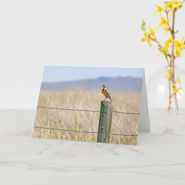 Western Meadowlark All Occasion Greeting Card (Yellow Flower)