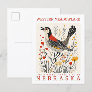 Western Meadowlark Bird of Nebraska USA Travel Postcard
