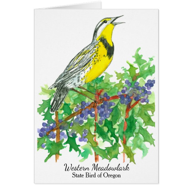 Western Meadowlark Bird Oregon Grape (Front)