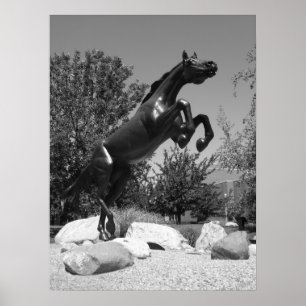 Western Michigan University, Kalamazoo, MI Poster