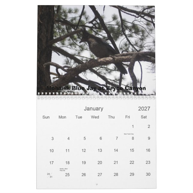 Western National Parks Calendar (Jan 2027)