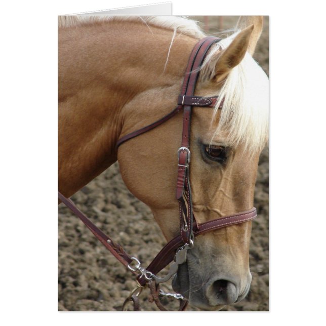 Western  Palomino (Front)