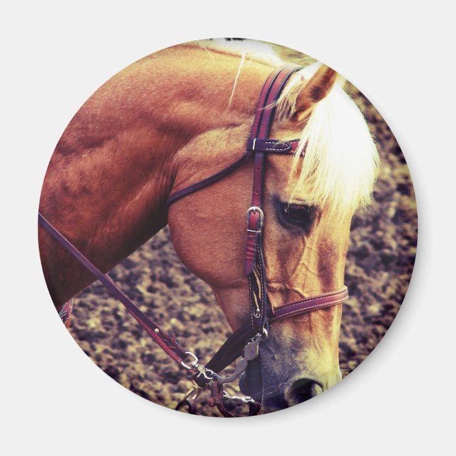 Western Palomino Magnet (Front)