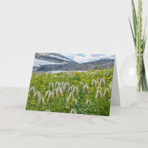 Western Pasqueflower East Kootenay Mountains Card