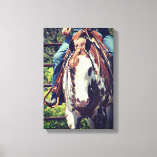 Western Pinto in Sepia Canvas Print