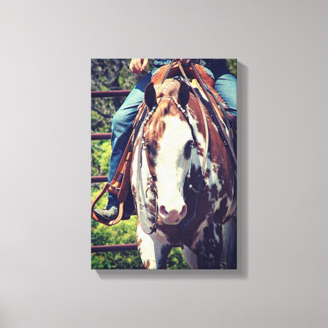 Western Pinto in Sepia Canvas Print (Front)