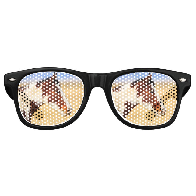 Western Pinto Mustang Retro Sunglasses (Front)