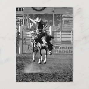 Western Postcard