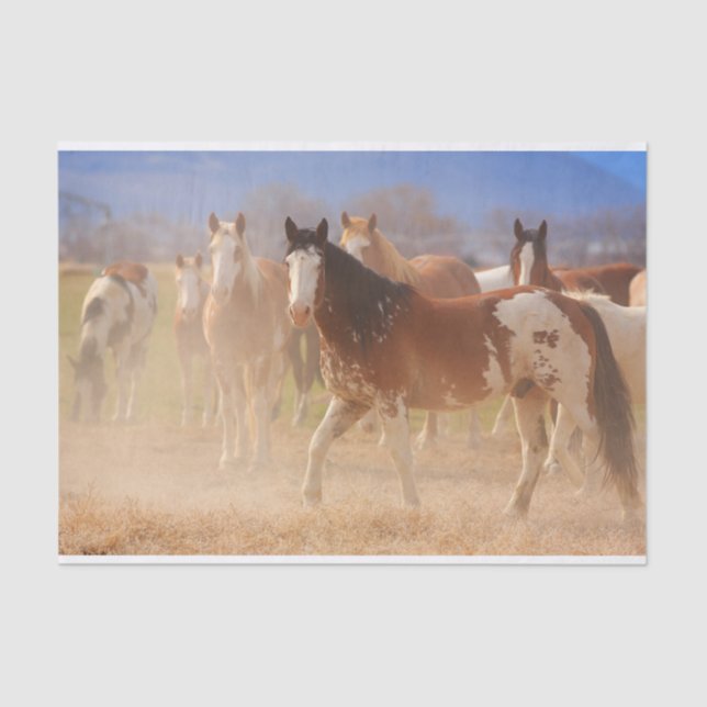 Western Ranch Horses Tissue Paper (Front)