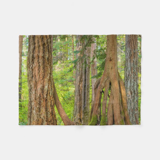 Western Red Cedar Tree | Washington State Fleece Blanket (Front (Horizontal))