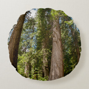 Western Red Cedar Trees Round Cushion