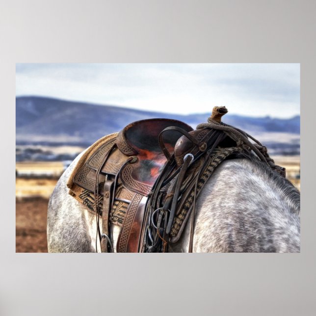 Western saddle on grey horse poster (Front)
