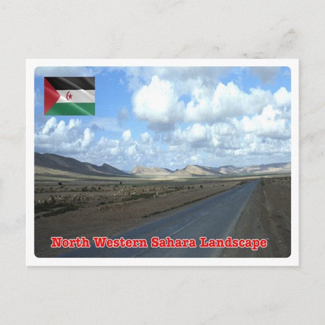 Western Sahara - Postcard (Front)
