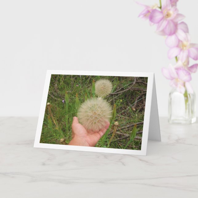 Western Salsify Plants Card (Orchid)