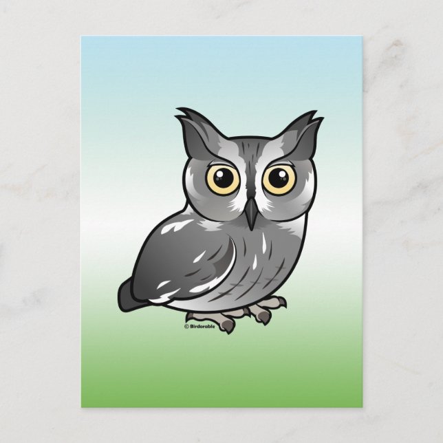 Western Screech Owl Postcard (Front)