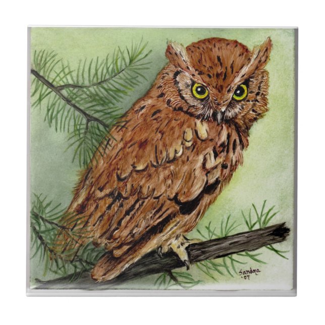 Western Screech Owl Tile (Front)