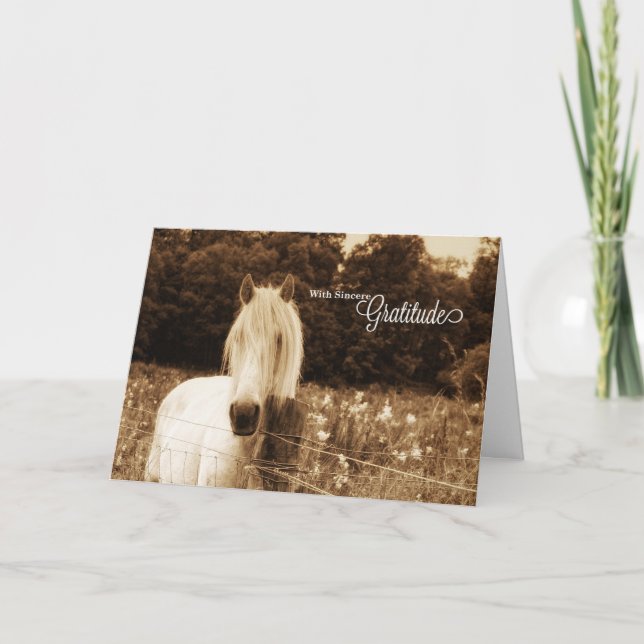 Western Sepia White Horse Blank Thank You Card (Front)