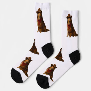 Western Sheltie Socks