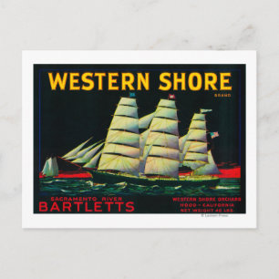 Western Shore Pear Crate LabelHood, CA Postcard