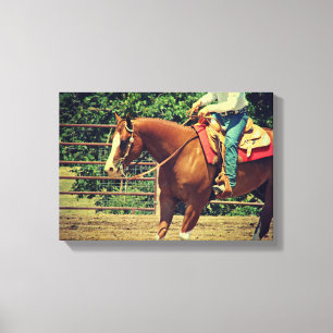Western Sorrel Canvas Print