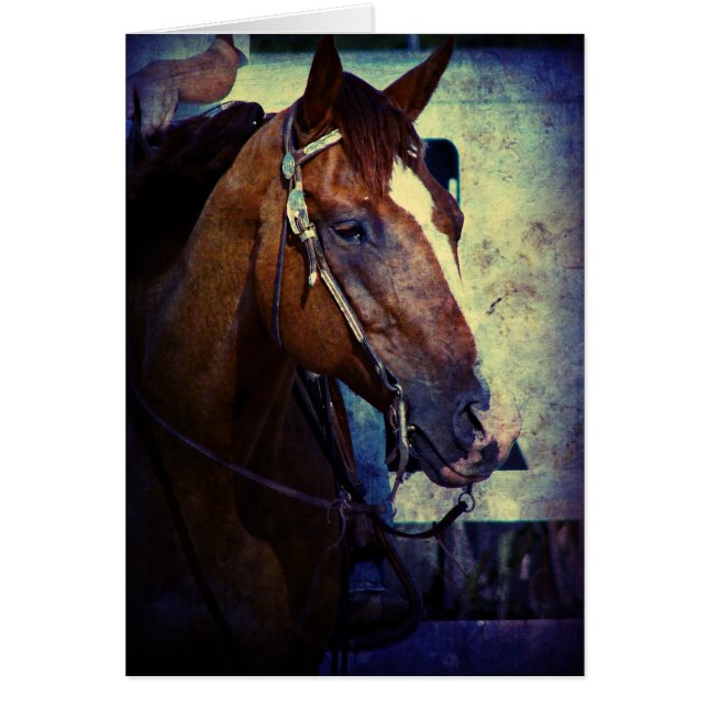 Western Sorrel Grunge (Front)