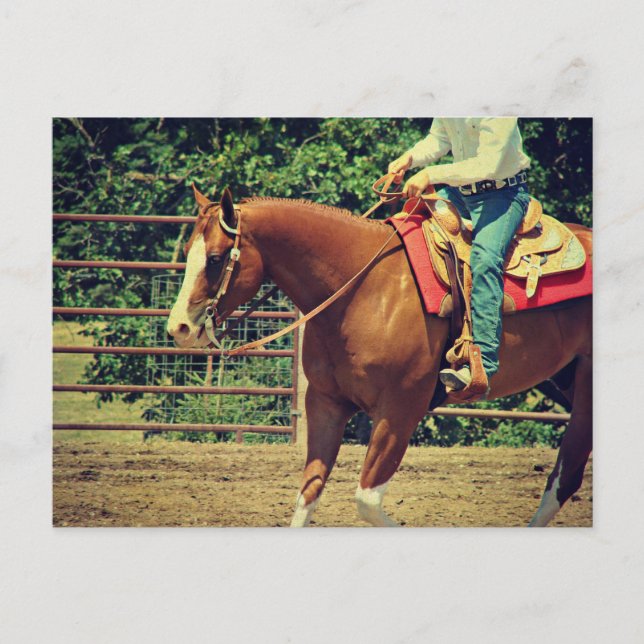 Western Sorrel Postcard (Front)