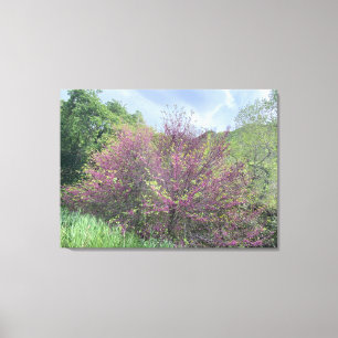 Western Spring Canvas Print